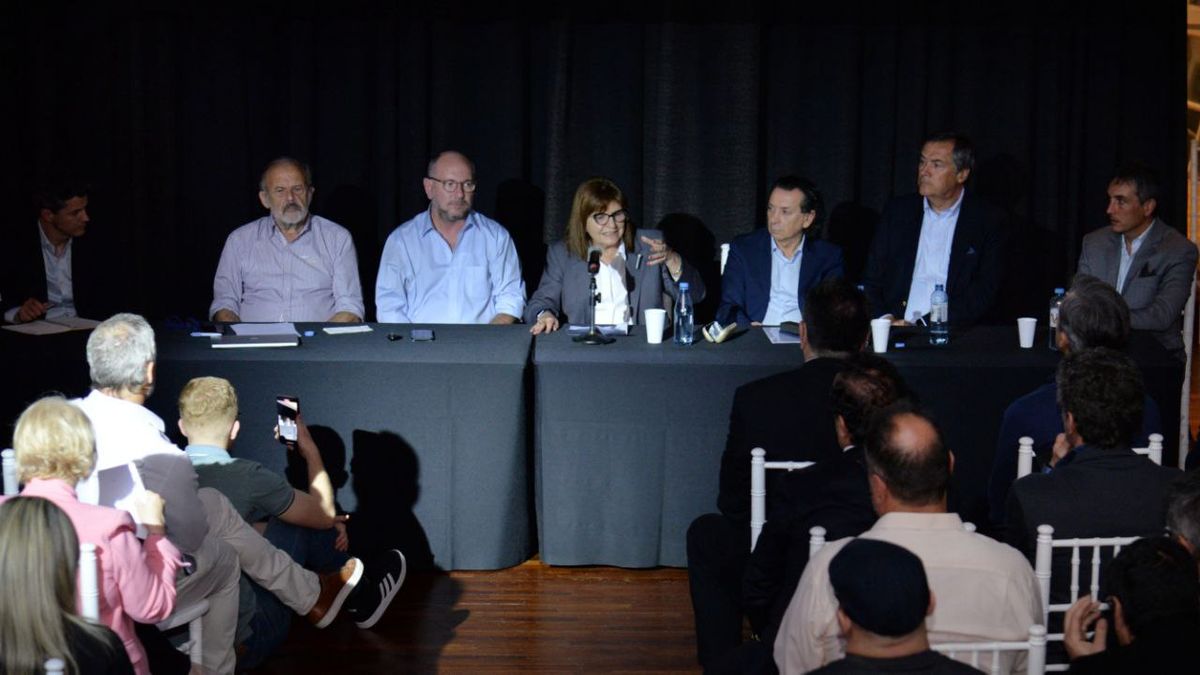 Patricia Bullrich avanza en su plan para ser presidenta (Foto: Prensa Patricia Bullrich).