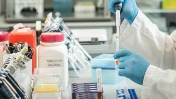 Suero equino hiperinmune: Argentina logró el primer tratamiento contra el Covid para pacientes moderados a severos