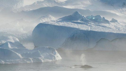 El iceberg más grande del mundo se separó de la Antártida