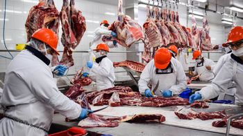 Exportaciones de carne: estiman que la Argentina perdió mil millones de dólares por las restricciones
