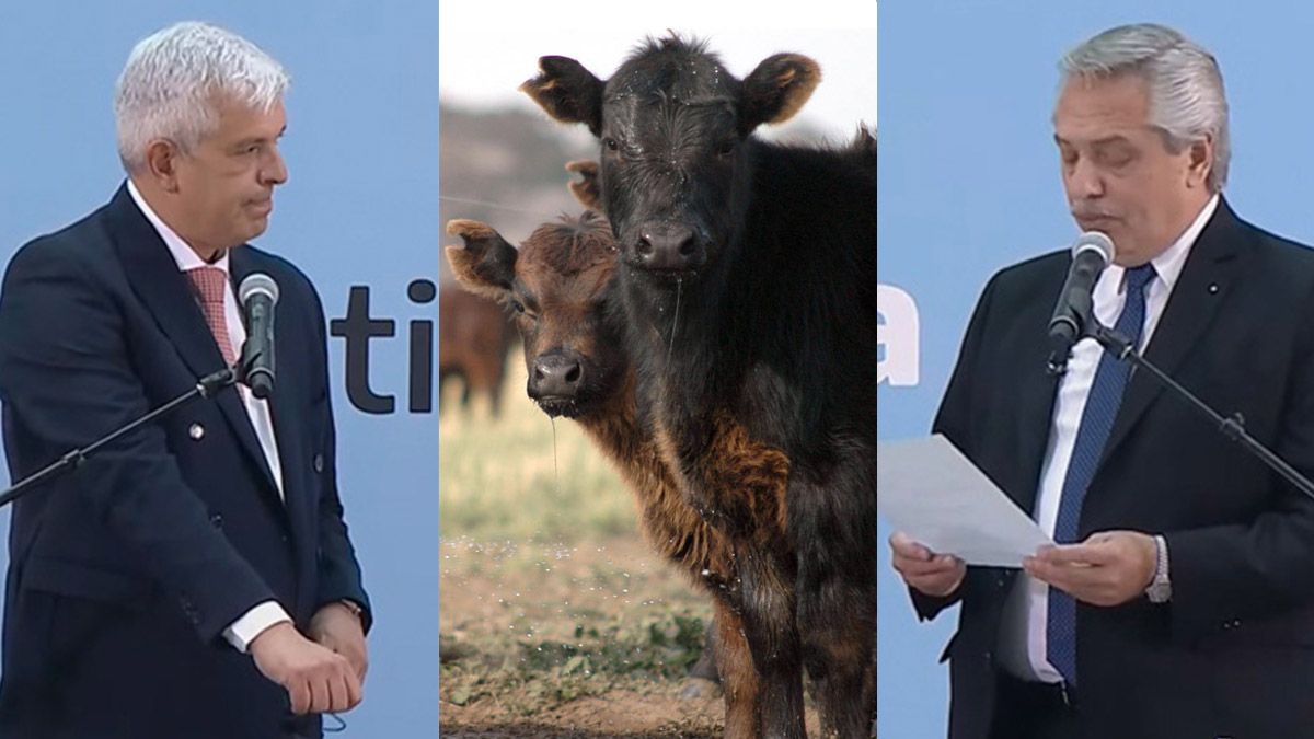 De regreso: en pleno conflicto por las exportaciones de carne