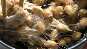 ¿Por qué aparecen telarañas blancas en los alimentos y qué significa realmente?