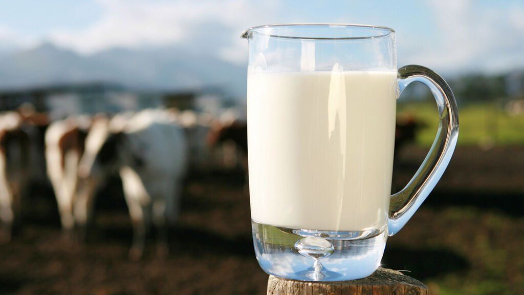 La industria láctea y Atilra firmaron una de las paritarias más altas en todo el mercado laboral. 