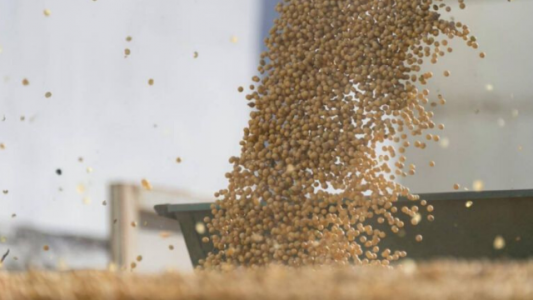 Productores del Norte rechazan retenciones diferenciadas y la representatividad del Consejo Agroindustrial