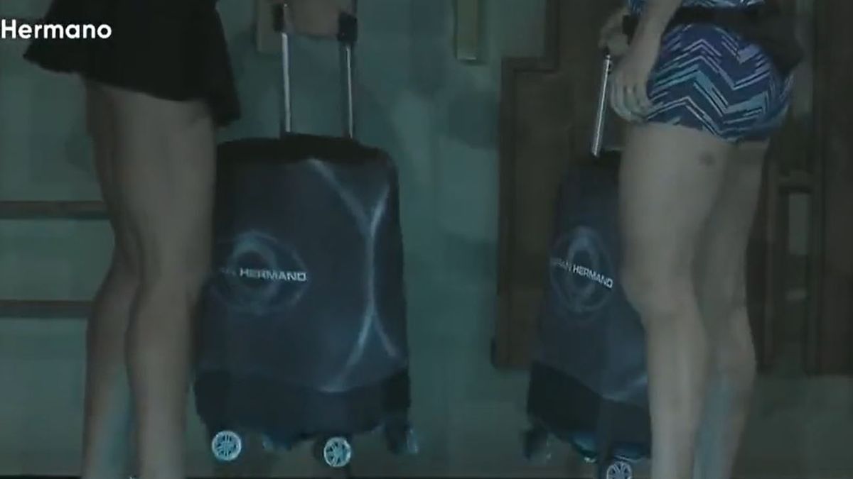 GRAN HERMAO NUEVOS INTEGRANTES.jpg