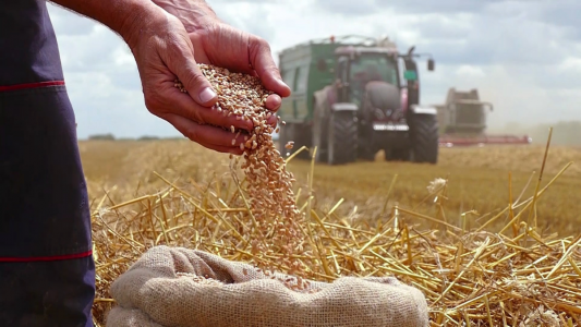 Por qué el impuesto a la riqueza podría impactar de lleno a pequeños y medianos productores