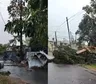 Las impactantes imágenes que dejó el temporal: techos volados, árboles caídos y una pared derrumbada