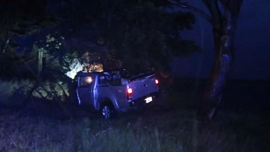 Un conductor murió al chocar contra un árbol cerca de Monte Hermoso