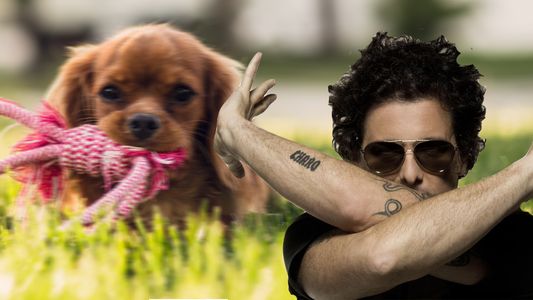 Calamaro en Facebook: Nadie merece ser insultado por una masa enfurecida que no da la cara