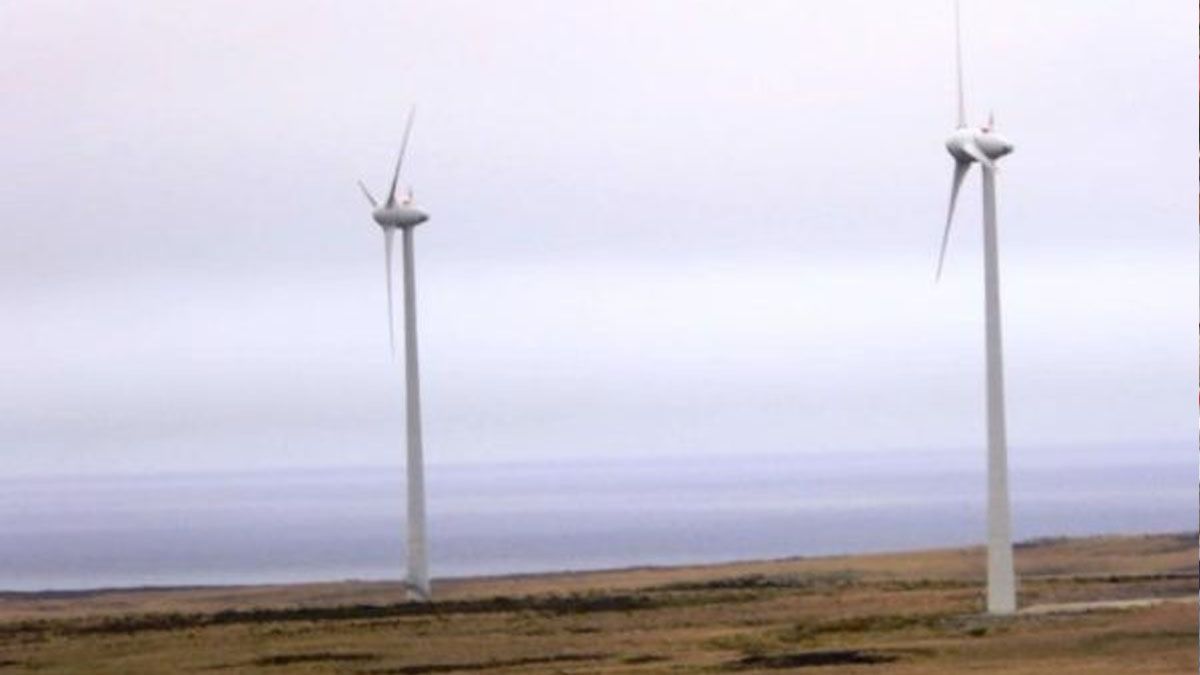 Otro recurso económico: la energía eólica. (Foto: Gentileza Penguin News)