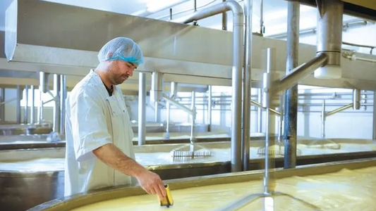 Las exportaciones de productos lácteos no pagarán retenciones hasta fin de año