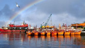 El puerto marplatense recupera capacidad exportadora