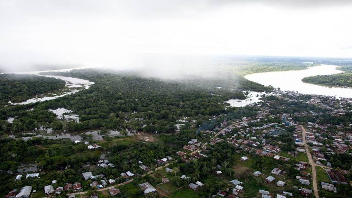 El valle de Javarí, en el Amazonas de Brasil. (Foto: Gentileza diario 