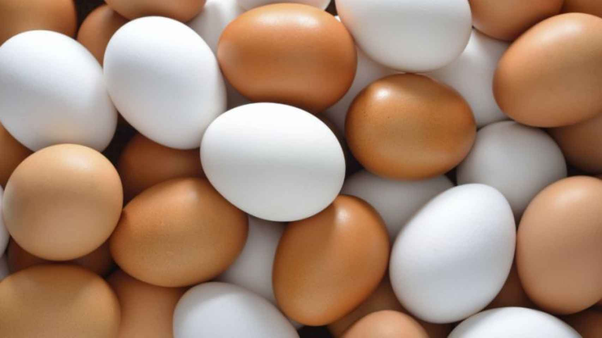 Huevos blancos y marrones: diferencias Huevos blancos y marrones: diferencias