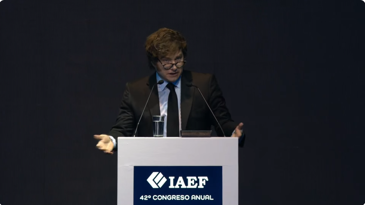 Milei en el Congreso Anual del IAEF (Foto: captura).