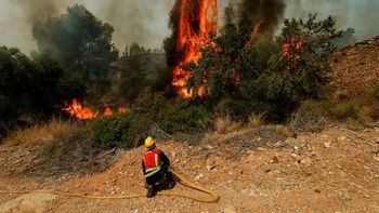 España enfrenta el incendio forestal más grande de su historia: más de 100.000 afectados