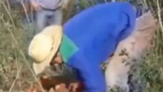 Volver a los orígenes: Robert Rojas pasa sus vacaciones cultivando mandioca en Paraguay