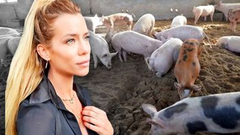 Nicole Neumann volvió a apuntar contra los que comen carne: Sigan...
