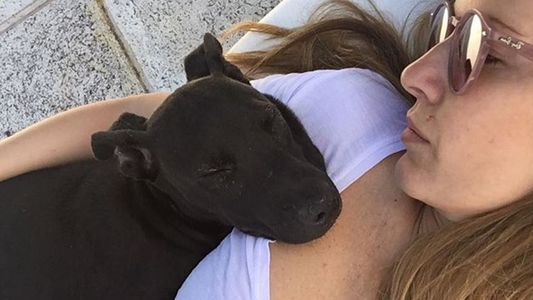 Falleció la perrita de Isabel Macedo: Tu muerte me destrozó el alma
