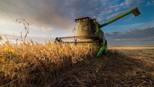 Aapresid se suma a las quejas contra San Luis: las producciones están en peligro