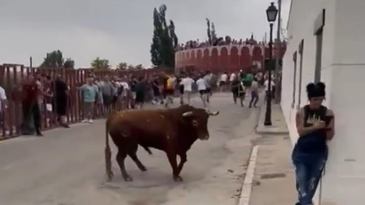 Impactante video: una mujer fue embestida por un toro mientras miraba su  celular en plena corrida