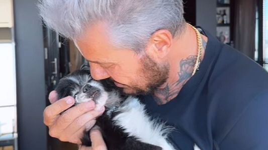 Los videos con la dolorosa despedida de Marcelo Tinelli a su perrita París: Volá alto