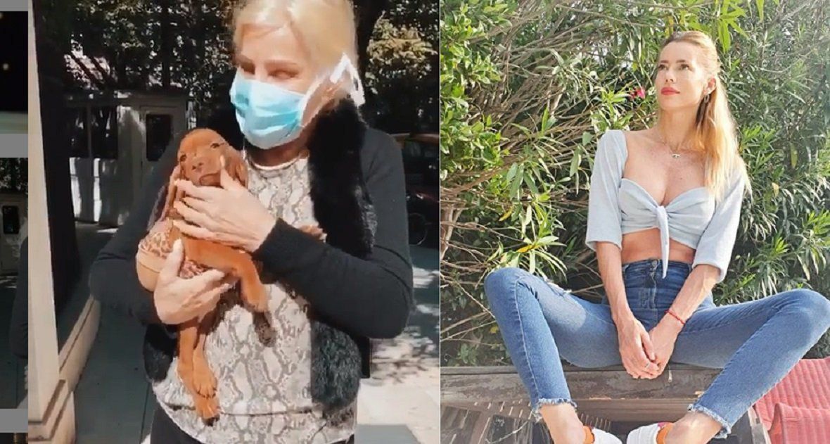 Nicole cuestionó a Susana Giménez por devolver al criadero a su perra: Un animal es como un hijo