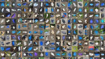 Barbijos y guantes: la nueva contaminación que trajo la pandemia salpica las calles y cubre los océanos