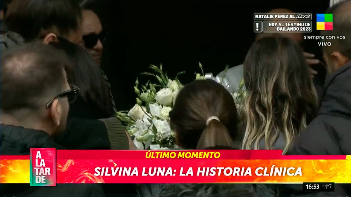 silvina luna a la tarde.jpg
