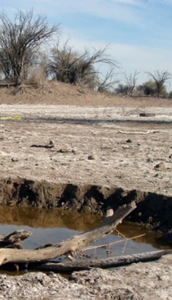 El campo anticipó que marcha a la Ciudad: reclaman medidas concretas para afrontar la sequía