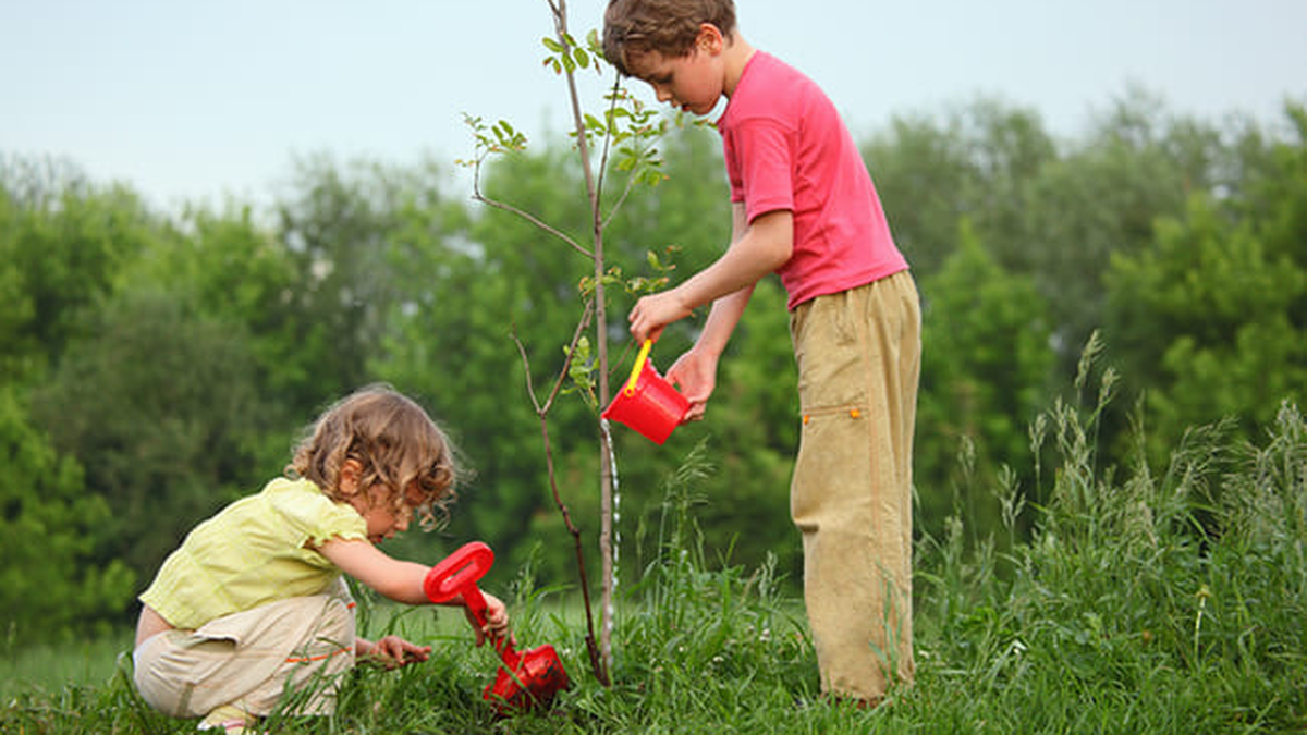 Día Mundial del Medio Ambiente: 5 geniales ideas para concientizar a los niños