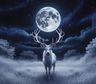 Llega la Luna del ciervo o Luna llena en Capricornio de julio: 5 signos que vivirán cambios muy fuertes