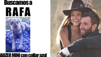 Ex de Calu Rivero viralizó una campaña para encontrar a su perro