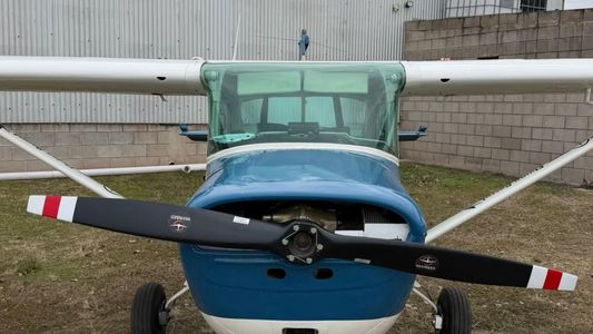 Tragedia en el aire: qué contó la joven que logró aterrizar el avión luego de que su instructor cayese al vacío