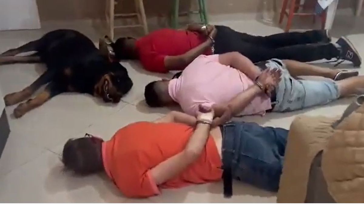 Increíble video: detuvieron a unos narcos y el perro se rindió con ellos