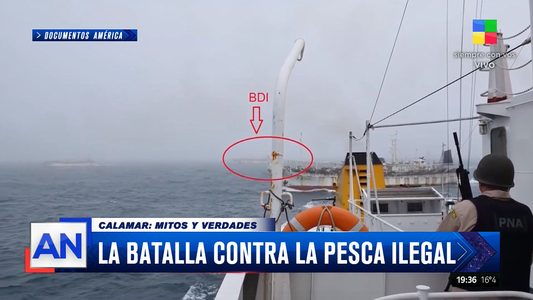 Exclusivo América Noticias: así se libra la batalla contra la pesca ilegal en el mar austral