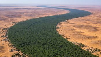 La muralla verde de ocho kilómetros que se está construyendo para frenar el desierto