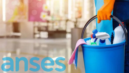 BOLETÍN OFICIAL: ANSES confirmó el AUMENTO para EMPLEADAS DOMÉSTICAS en febrero