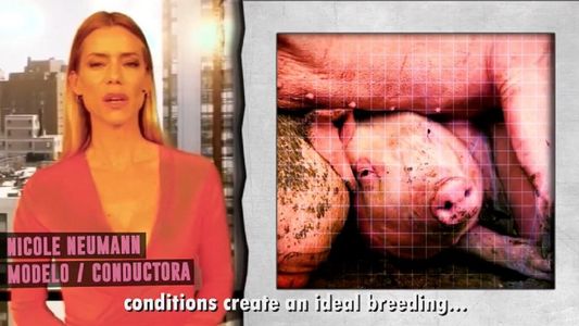 Famosos en contra del acuerdo con China para la producción porcina en Argentina