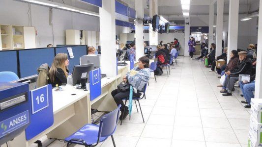ANSES: cómo sacar turno, paso a paso