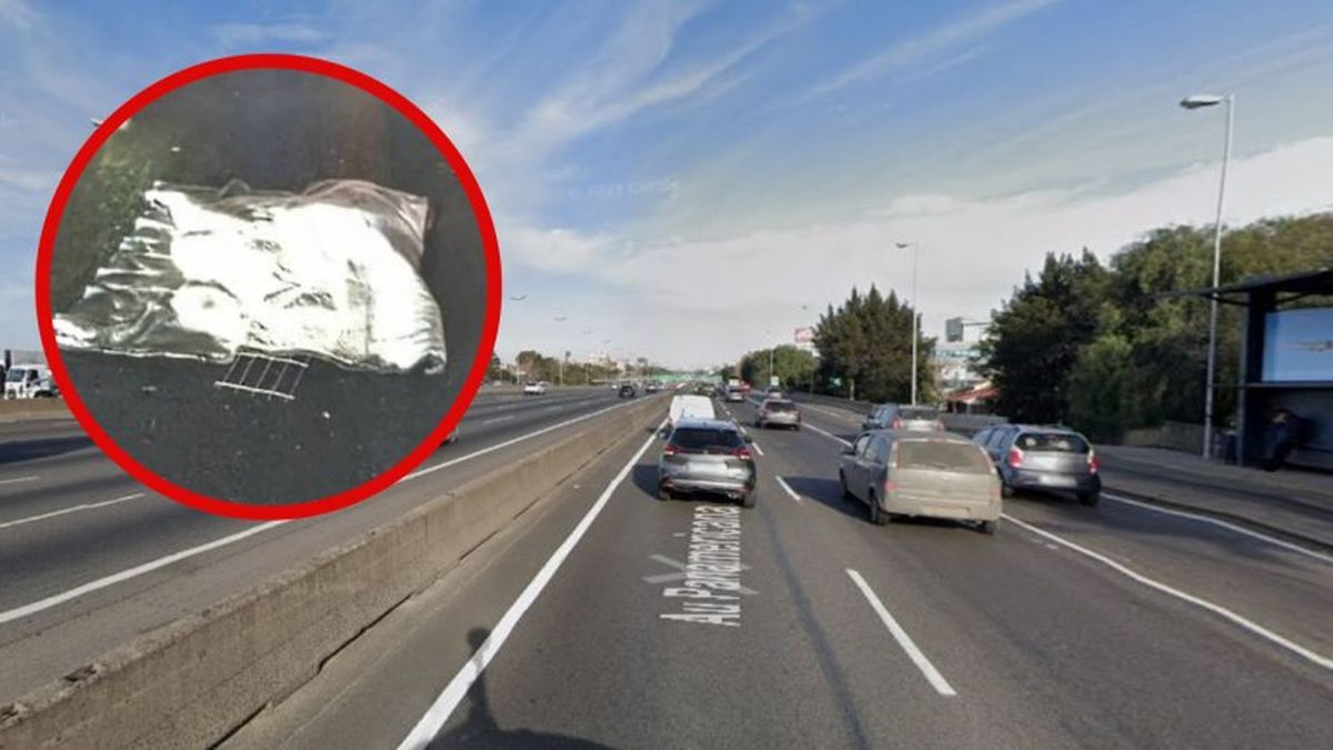 Un curioso accidente ocurrió en la avenida Panamericana.(Foto: NA)