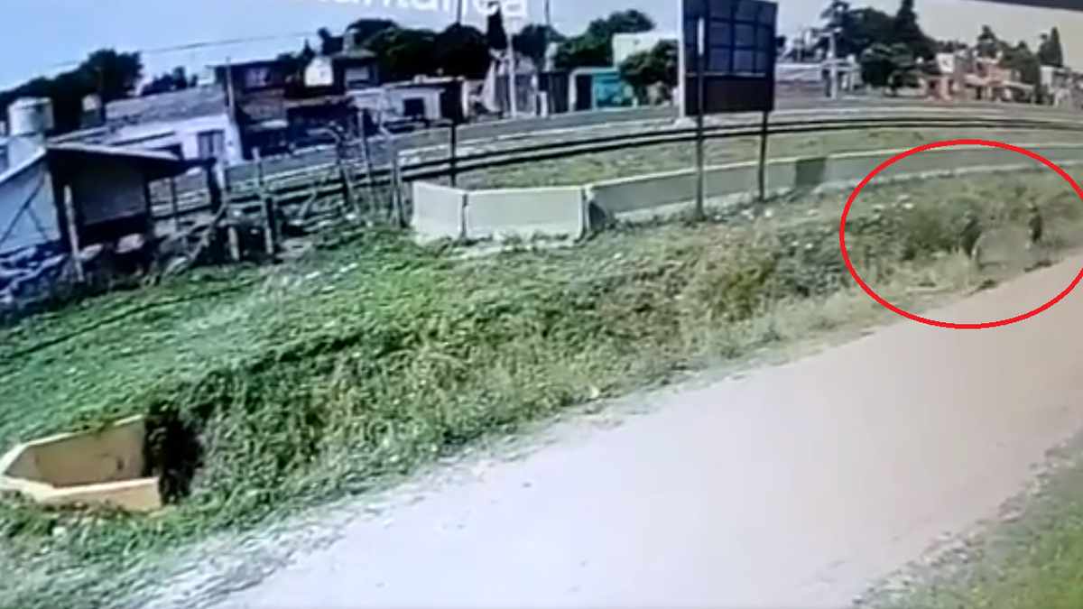 Los delincuentes fueron reconocidos por las cámaras de seguridad