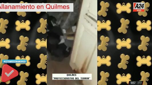 Indignante: allanaron en Quilmes un refugio donde había animales muertos y en estado de putrefacción