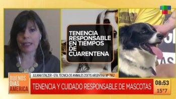 Una Salud y tenencia responsable en tiempos de cuarentena