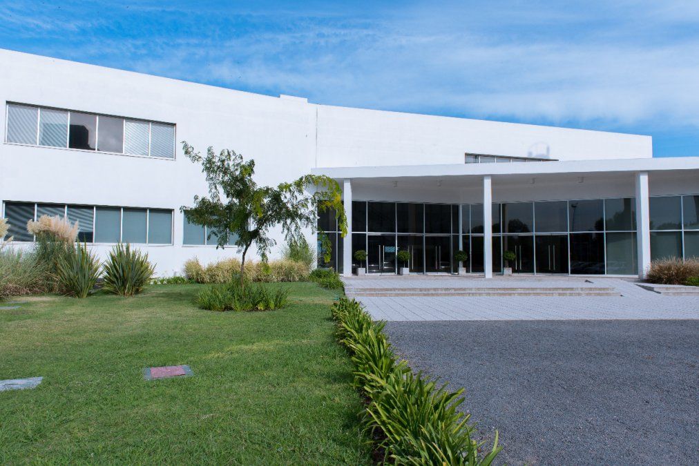 Bioceres dará un salto en la siembra de su soja tolerante a la sequía: apunta a un crecimiento de área del 570 por ciento