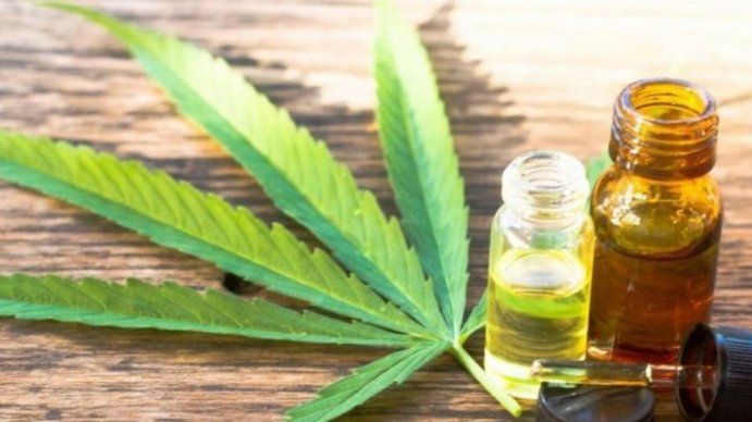 La Legislatura porteña aprobó el autocultivo de cannabis medicinal