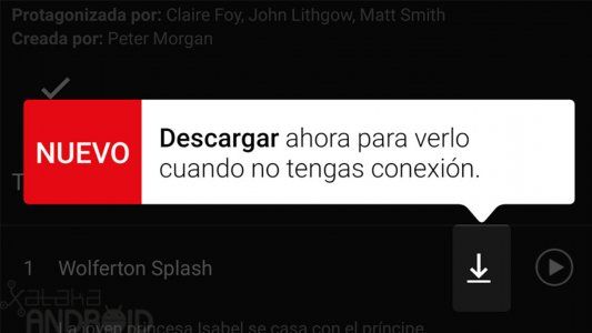 Netflix: ¿dónde guarda las descargas?