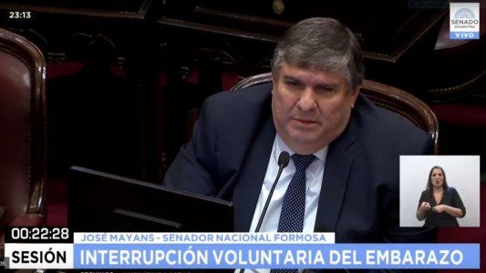 La justificación de Mayans para oponerse al aborto: Imagínense si la madre de Mozart le hubiera negado el derecho a la existencia