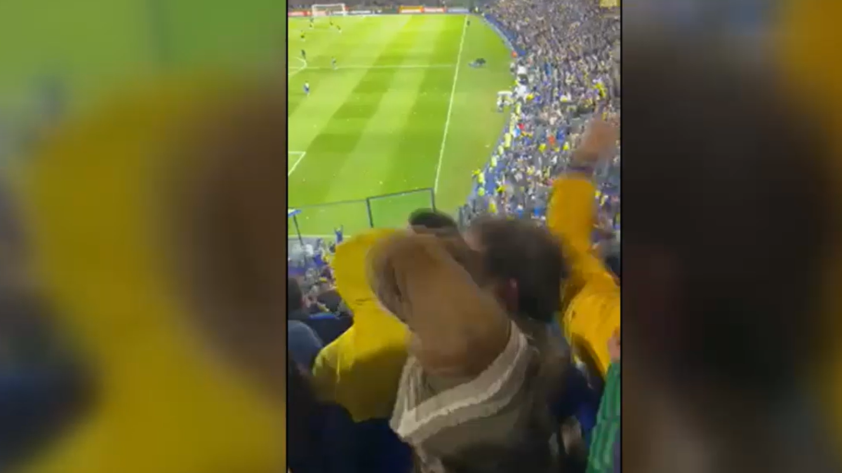 Un perro apareció en la tribuna de La Bombonera y festejó el triunfo de Boca. (Foto: Captura video)