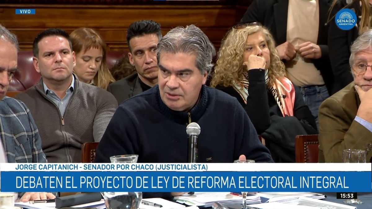El senador chaqueño Jorge Capitanich sugirió avanzar primero en aquellos aspectos que puedan reunir consensos. (Foto: captura de pantalla)